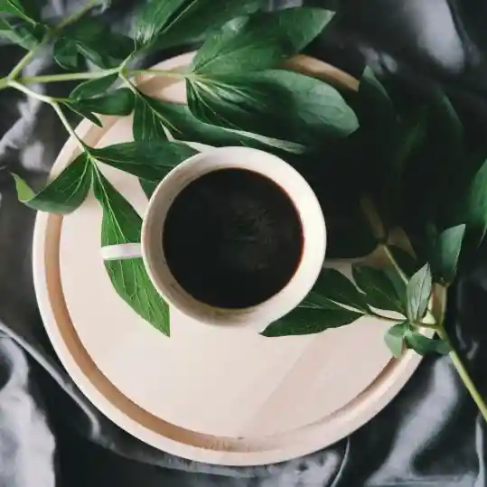 ¿Qué es un café especial?